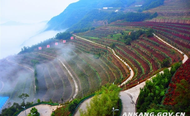 皇冠线上体育