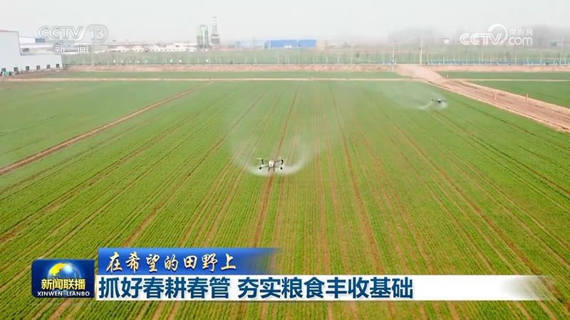 皇冠线上体育