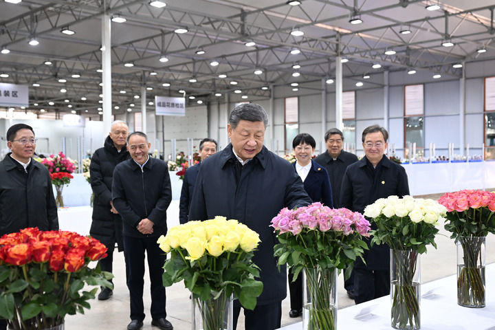 皇冠线上体育