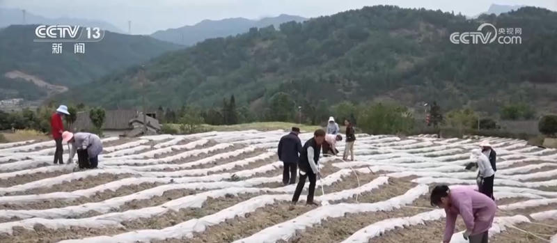 皇冠线上体育