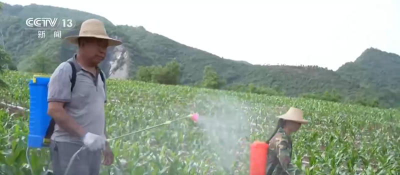 皇冠线上体育