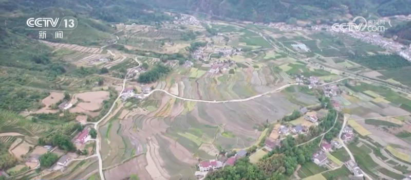皇冠线上体育