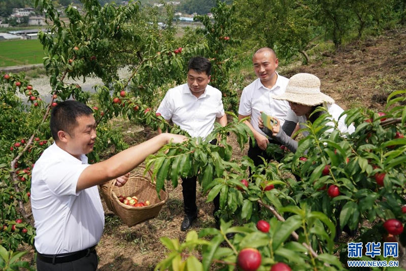 皇冠线上体育