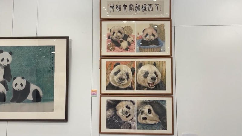 皇冠线上体育