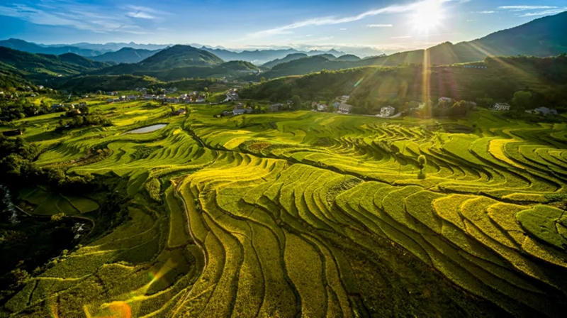 皇冠线上体育