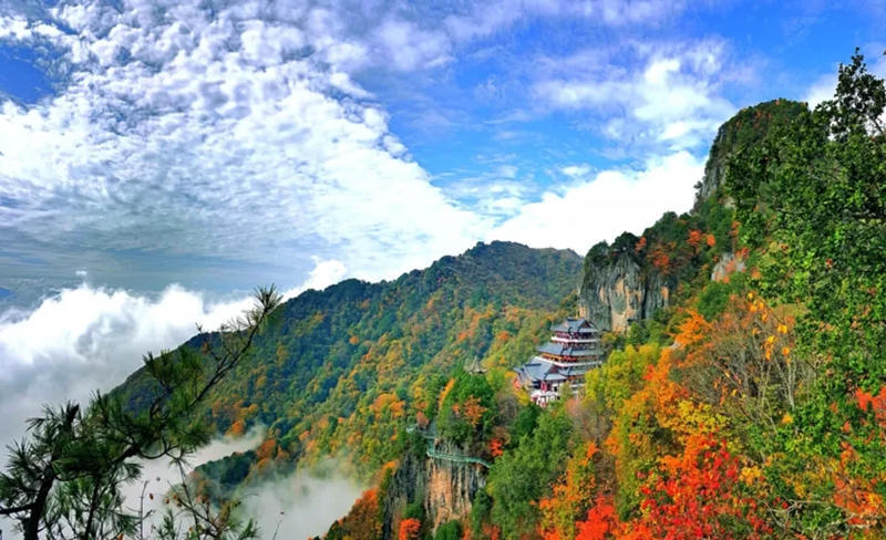 皇冠线上体育