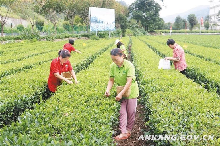 皇冠线上体育