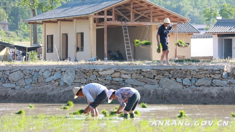 皇冠线上体育