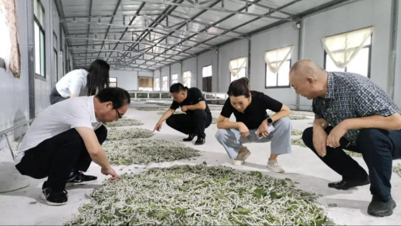 皇冠线上体育