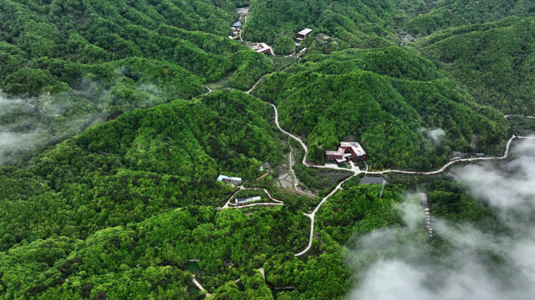 皇冠线上体育
