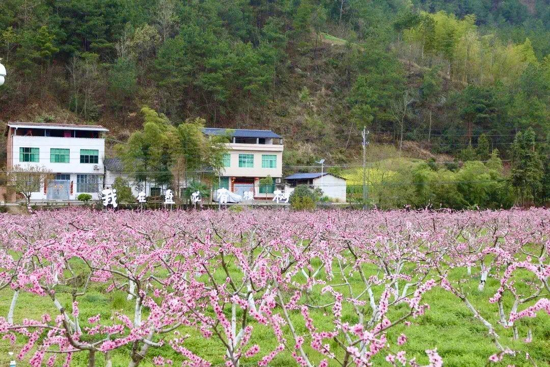 皇冠线上体育