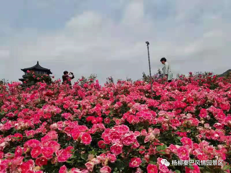 皇冠线上体育