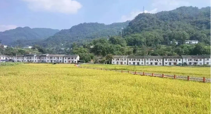 皇冠线上体育