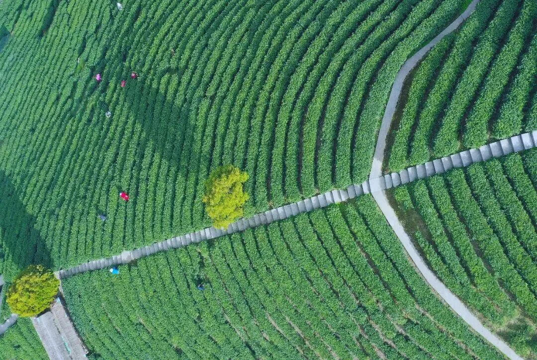 皇冠线上体育