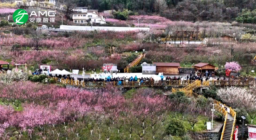 皇冠线上体育