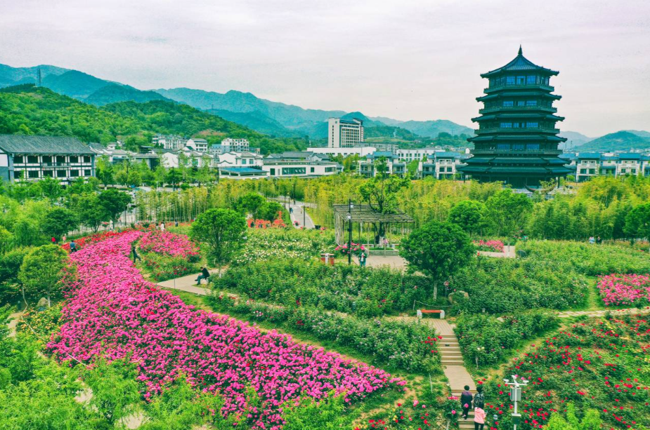 皇冠线上体育