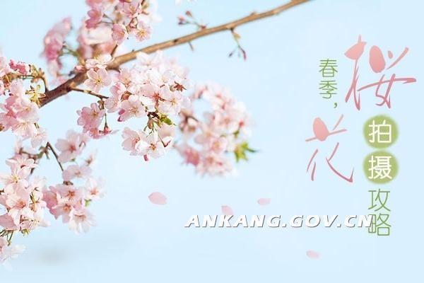 皇冠线上体育