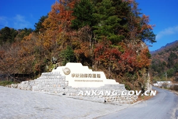 皇冠线上体育