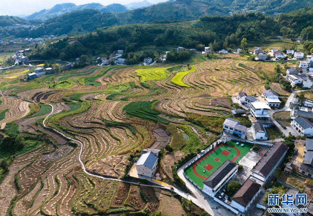 皇冠线上体育