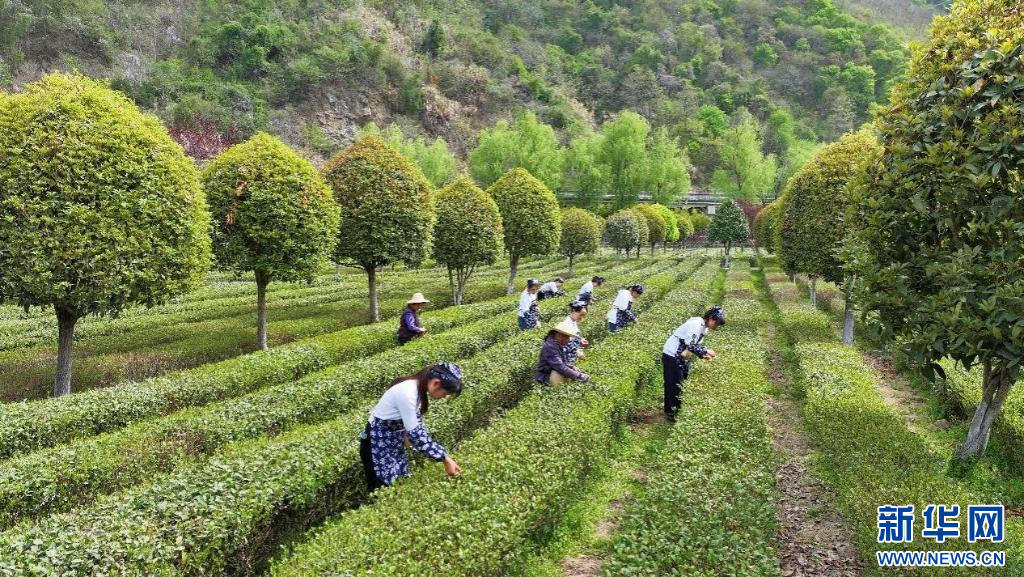 皇冠线上体育