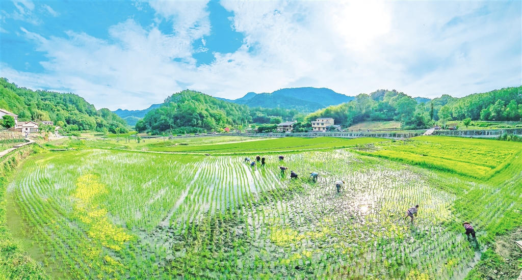 皇冠线上体育
