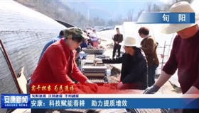 皇冠线上体育