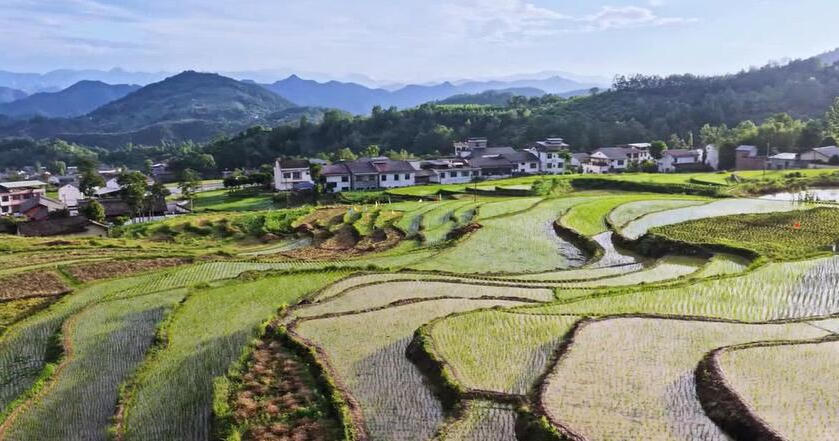 皇冠线上体育