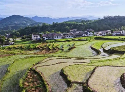 皇冠线上体育