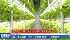 皇冠线上体育