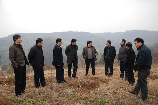 皇冠线上体育