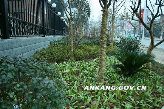 皇冠线上体育