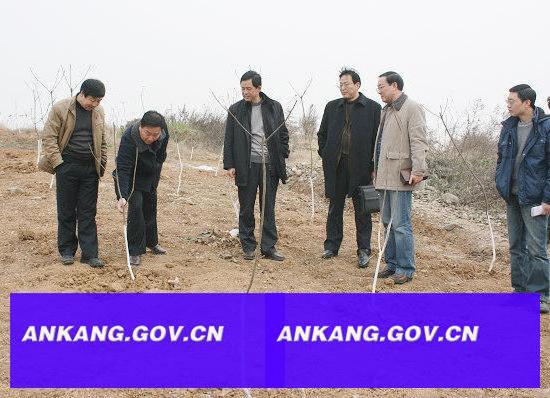 皇冠线上体育
