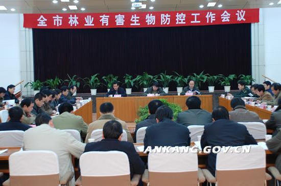 皇冠线上体育