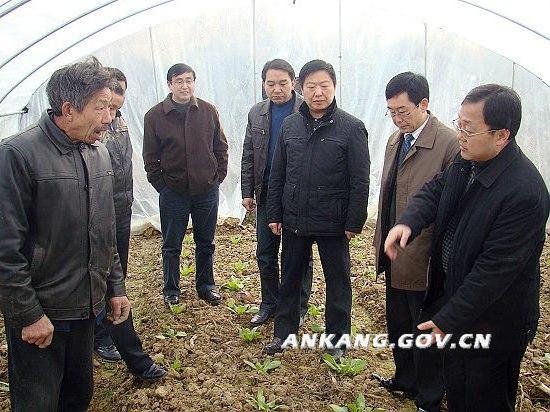 皇冠线上体育