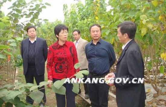 皇冠线上体育