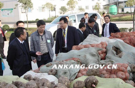皇冠线上体育