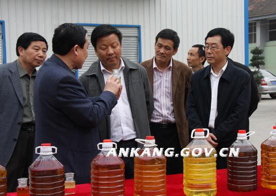 皇冠线上体育