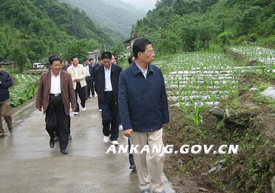皇冠线上体育