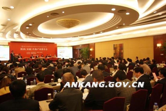 皇冠线上体育