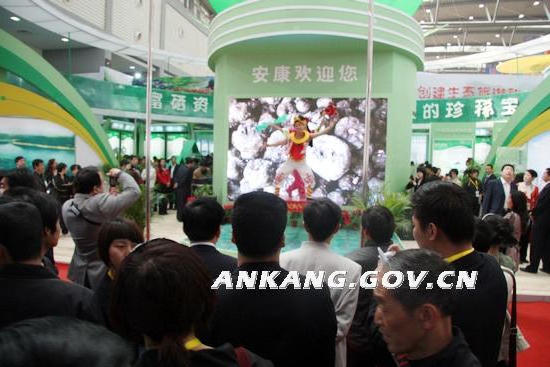 皇冠线上体育