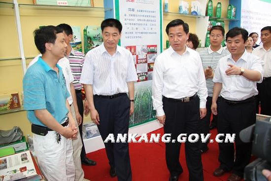 皇冠线上体育