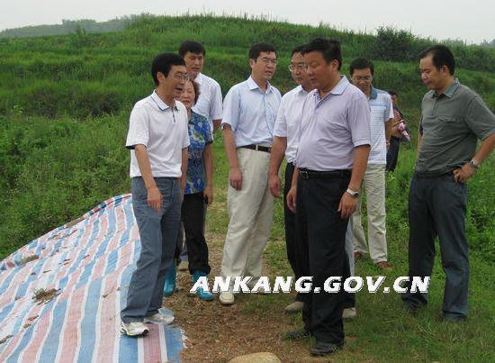 皇冠线上体育