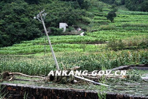 皇冠线上体育
