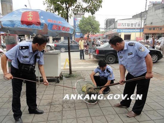 皇冠线上体育