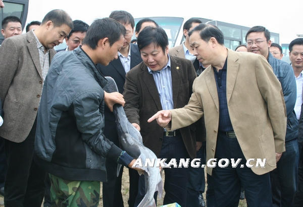 皇冠线上体育