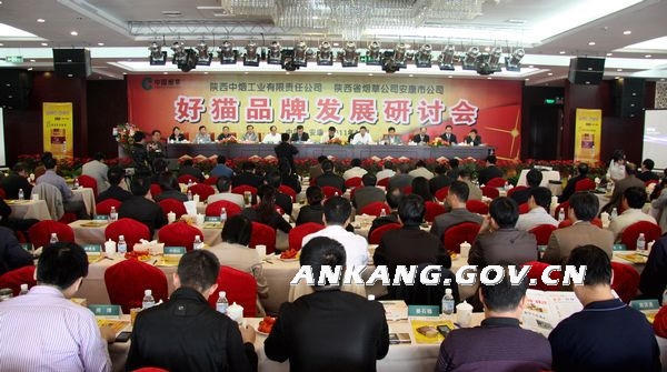 皇冠线上体育