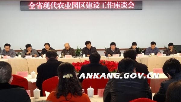 皇冠线上体育