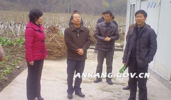 皇冠线上体育