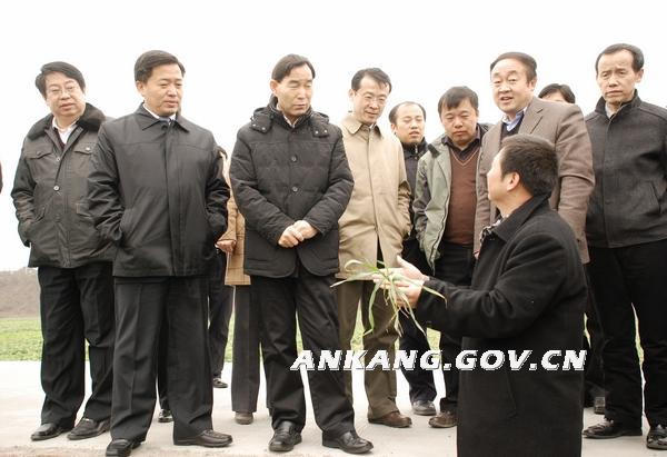 皇冠线上体育