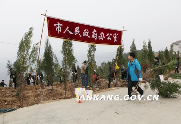 皇冠线上体育
